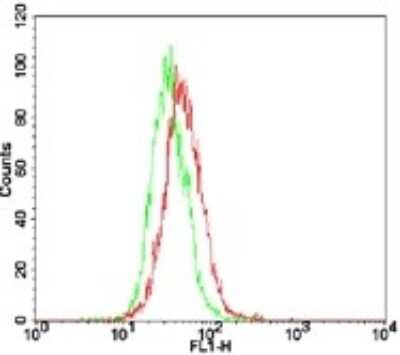 Flow Cytometry: TLR7 Antibody [FITC] [NBP2-24777] - Intracellular flow analysis of TLR7 in TLR7/HEK 293 cells using NBP2-24777 at 1 ug/10^6 cells. Green represents Vector/HEK 293 cells; red represents TLR7/HEK 293 .